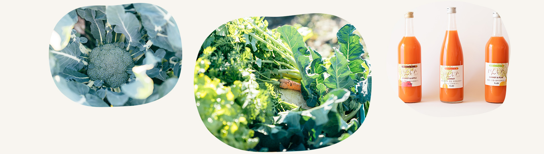 あさのき農園の野菜と人参ジュース(キャロットジュース)