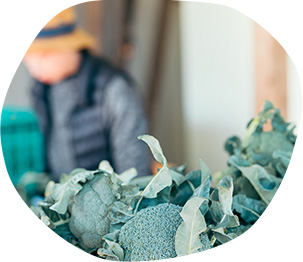 出荷仕分け作業