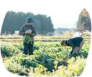 あさのき農園の畑とスタッフ