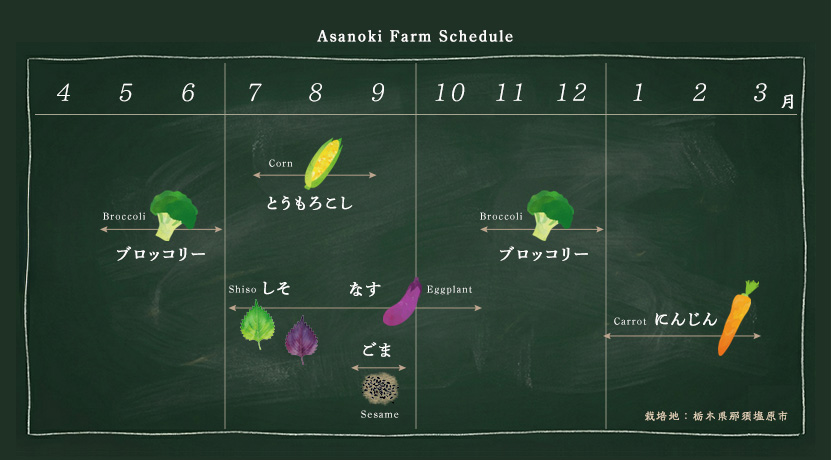 あさのき農園収穫カレンダー