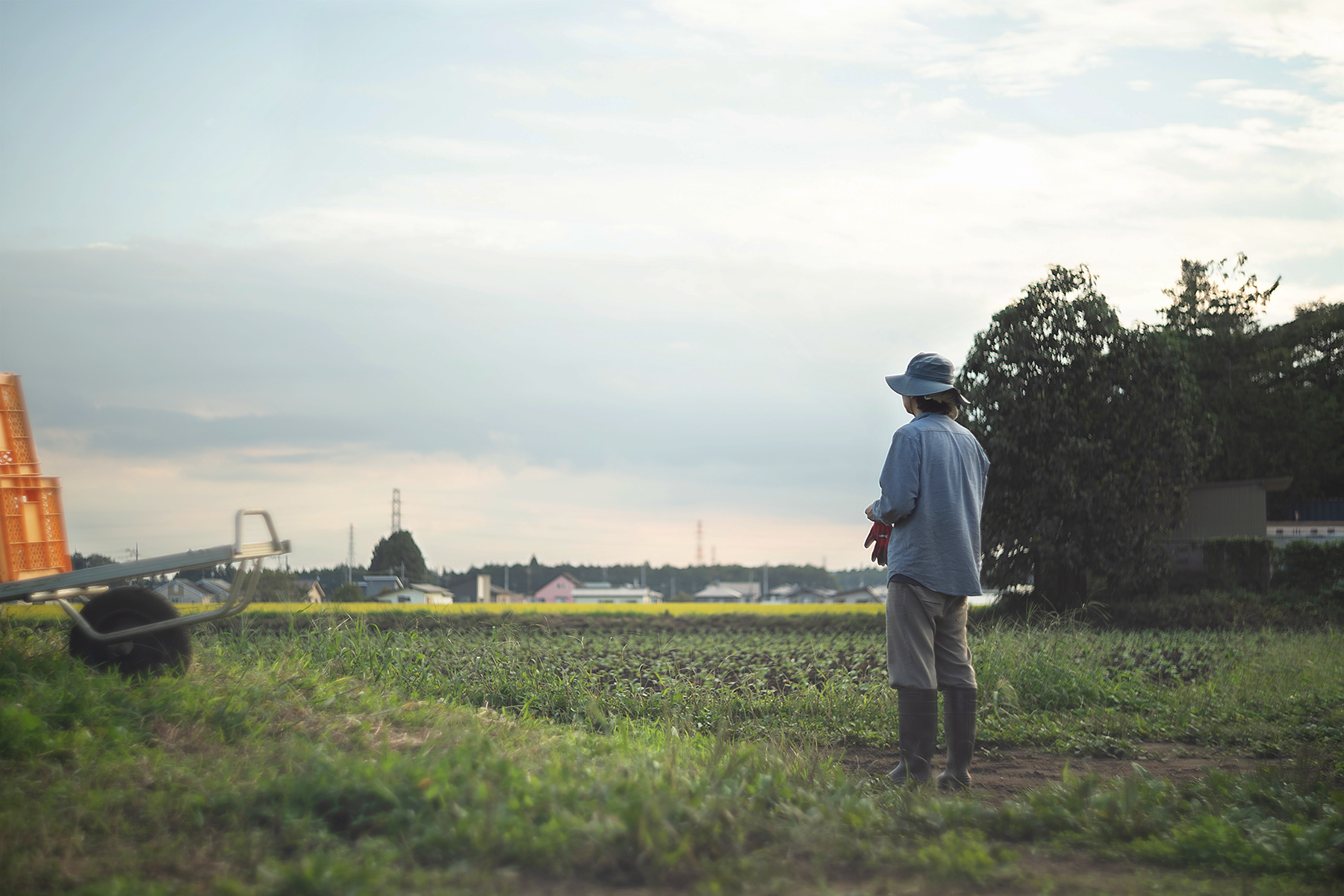 あさのき農園-畑
